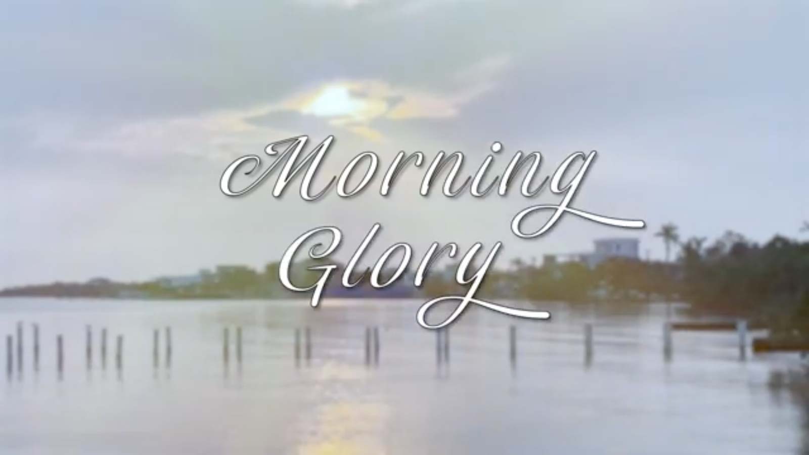 Guadalupe Media, Belize: Morning Glory